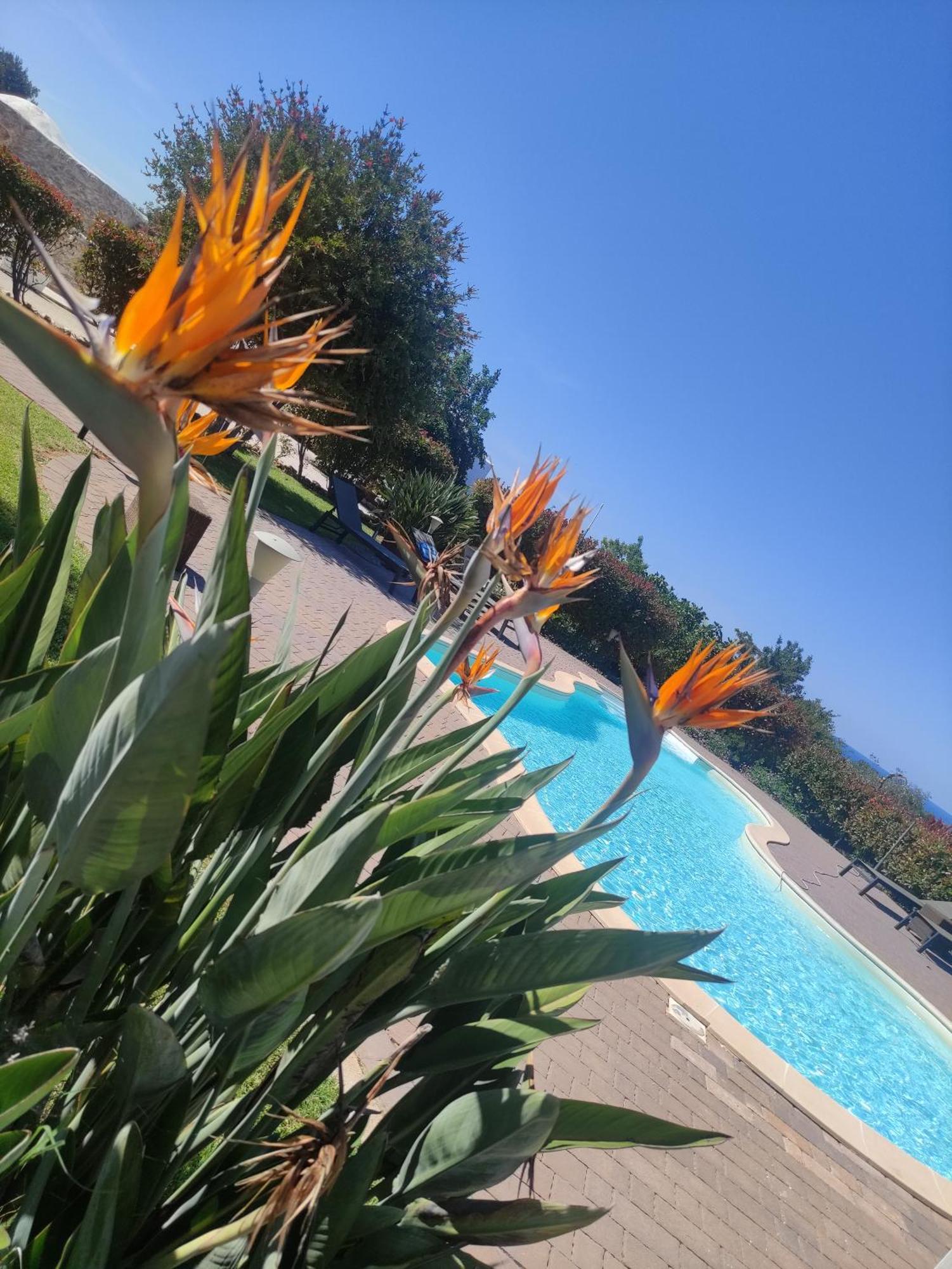 B&B La Vigna Carovigno Exterior photo