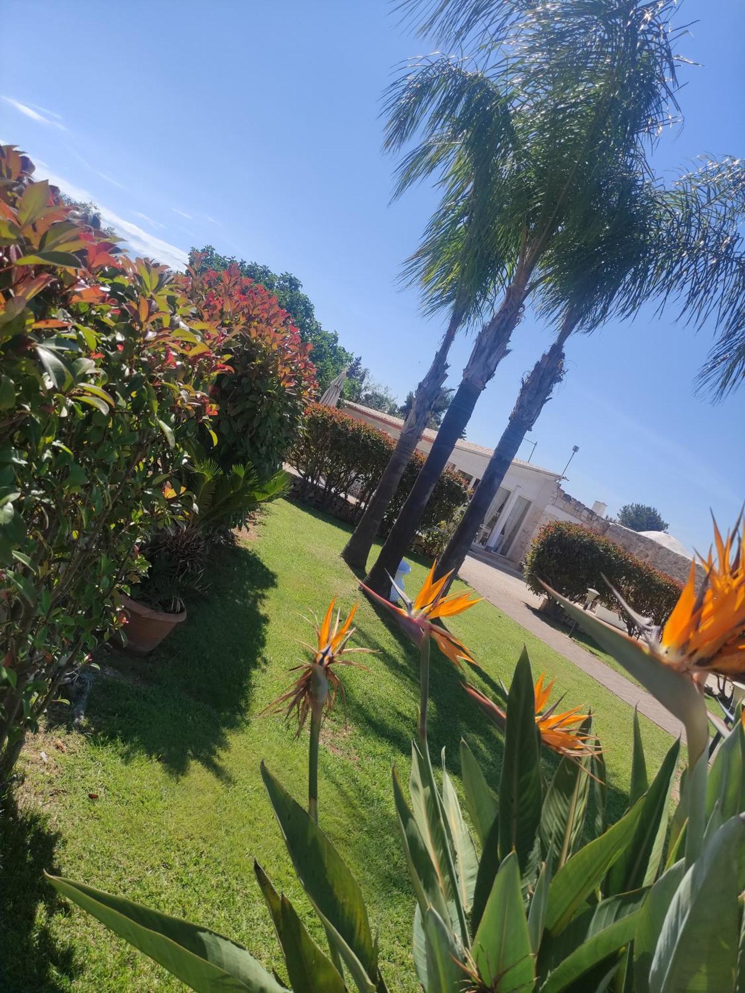 B&B La Vigna Carovigno Exterior photo